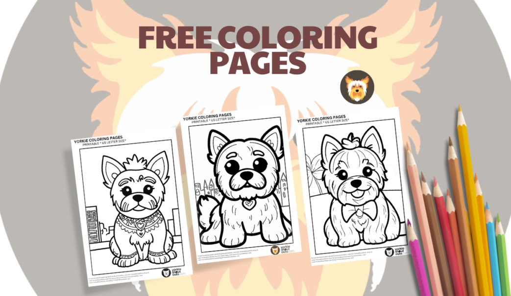 Free Yorkie coloring pages banner
