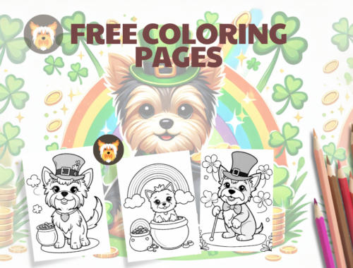 YorkieShoutOuts-com_YSO_Header_Free-St.-Patricks-Day-Coloring-Pages-for-Yorkie-Lovers-Yorkie-Shoutouts
