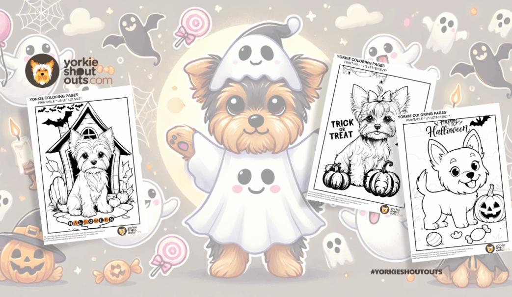 Free Halloween Yorkie coloring pages banner