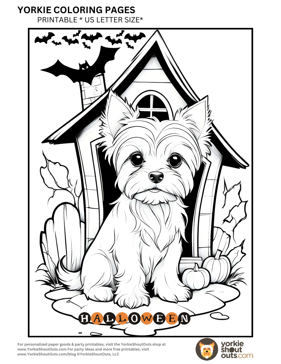 Yorkie sitting in front of a haunted house with pumpkins and bats, with the word Halloween below.